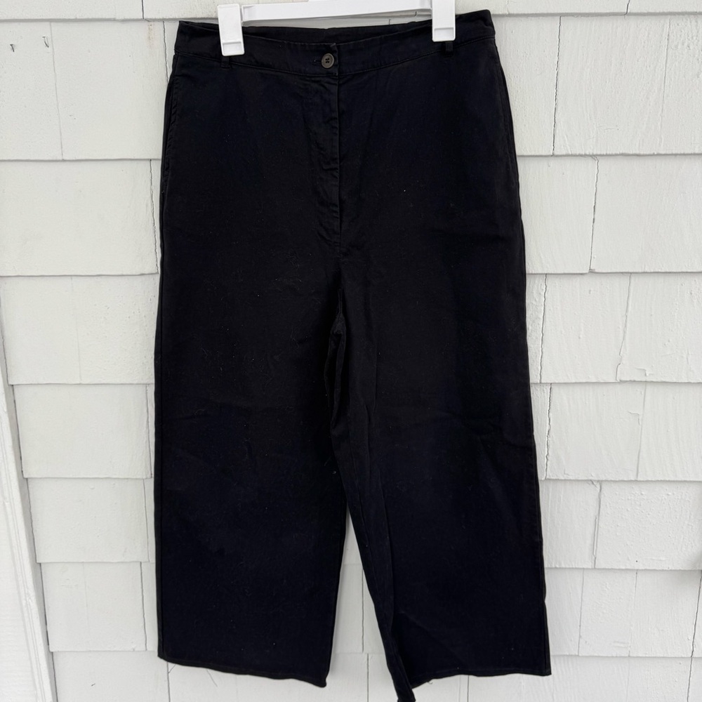 Aequamente Hannoh Wessel Brushed Cotton High Rise Wide Leg Pants Black size XL